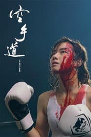 공수도: 극진파이터